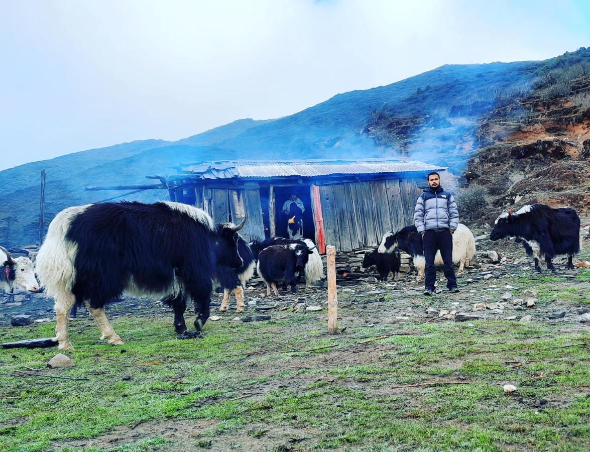 Mochilero Ostello Pelling Ngoại thất bức ảnh